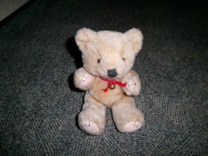 teddy